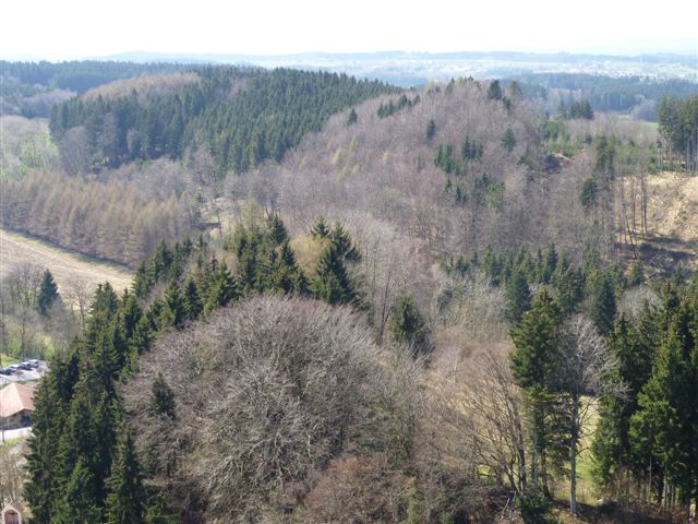 Waldburg