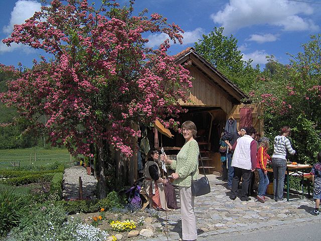 Markt in Schmidsfelden