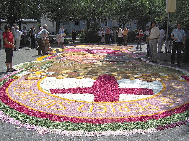 Blumenteppich